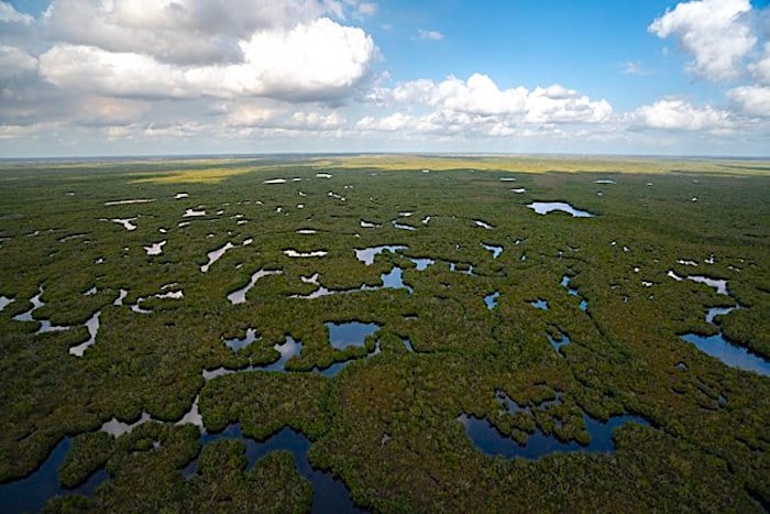 The health of the Marjory Stonewall Douglas Wilderness is dependent on a restored and healthy 'river of grass'/NPS file The health of the Marjory Stonewall Douglas Wilderness is dependent on a restored and healthy 'river of grass'/NPS file