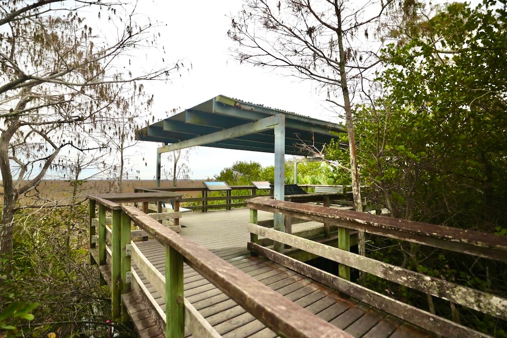 he Pa-Hay-Okee Overlook trail and boardwalk/NPS, Brandon Cintron Gerena he Pa-Hay-Okee Overlook trail and boardwalk/NPS, Brandon Cintron Gerena