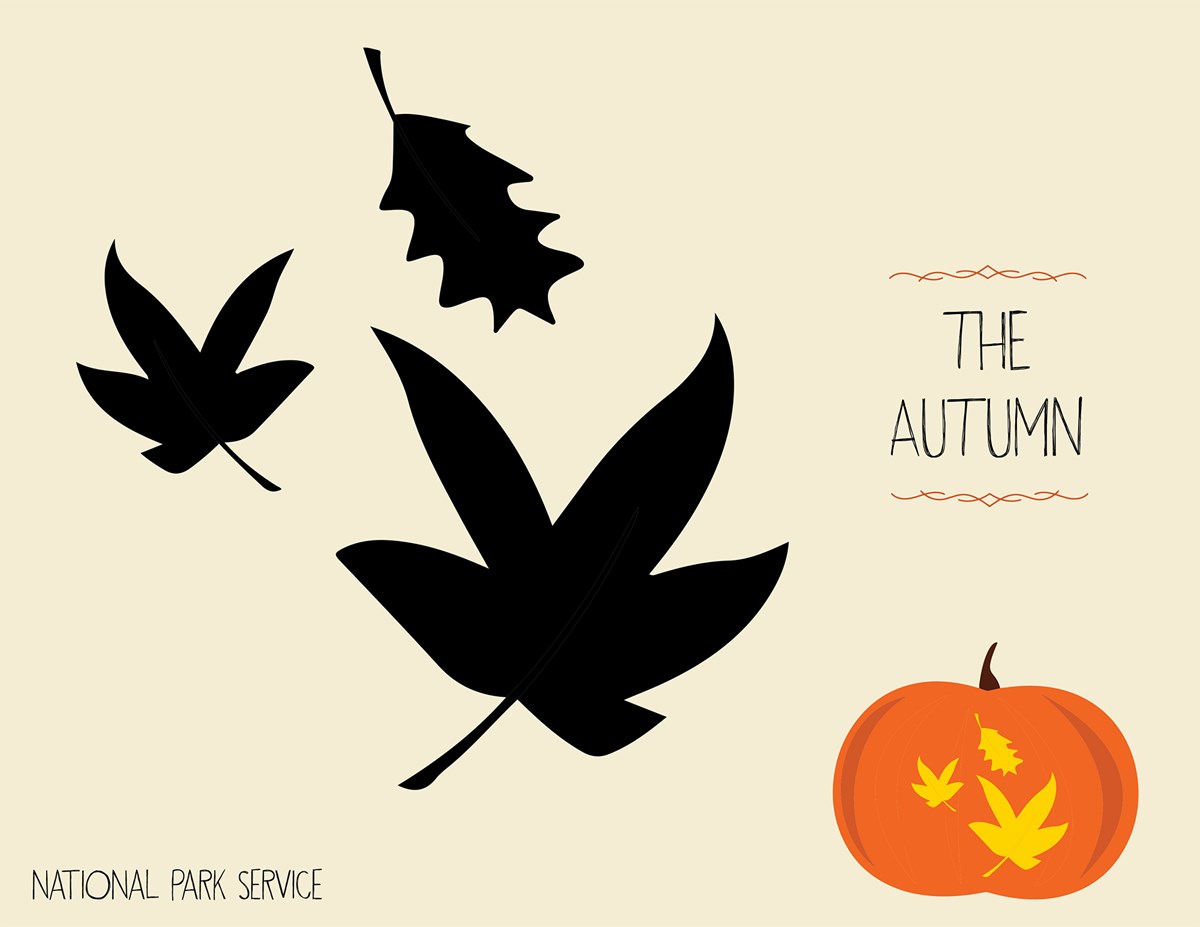 Fall leaves template/NPS Fall leaves template/NPS