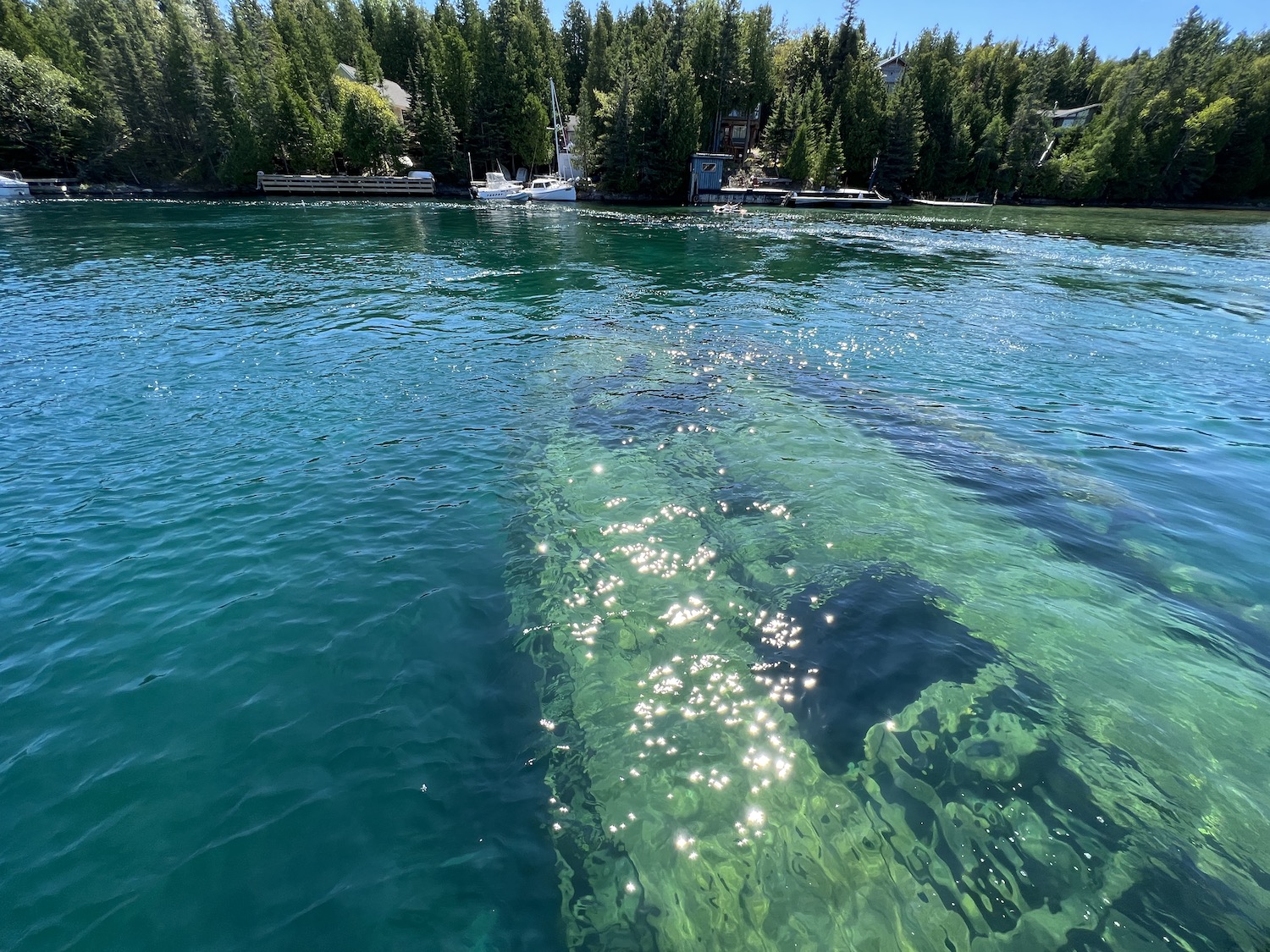 On a glass-bottom boat with Blue Heron Cruises, we hovered over the 1885 wreck of the Sweepstakes. On a glass-bottom boat with Blue Heron Cruises, we hovered over the 1885 wreck of the Sweepstakes.