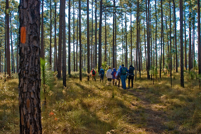 Hikers on the Florida National Scenic Trail/USFS