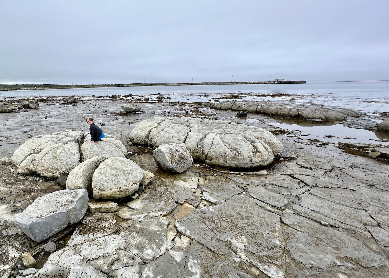 Flowers Cove is one of two places in the world to see 650-million-year-old fossil structures called thrombolites. Flowers Cove is one of two places in the world to see 650-million-year-old fossil structures called thrombolites.