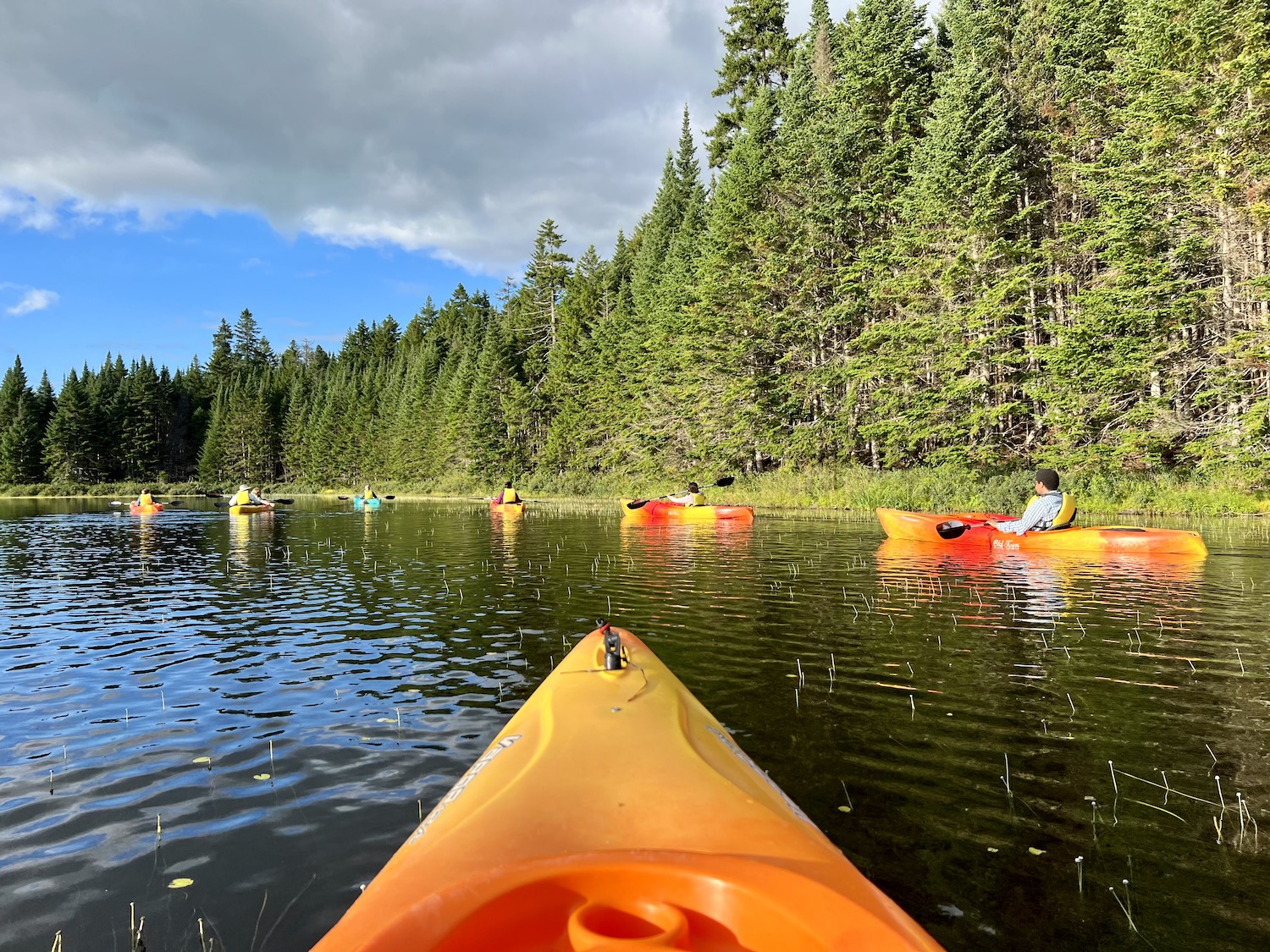 Parks Canada staff lead an after-hours paddle around Bennett Lake. Parks Canada staff lead an after-hours paddle around Bennett Lake.