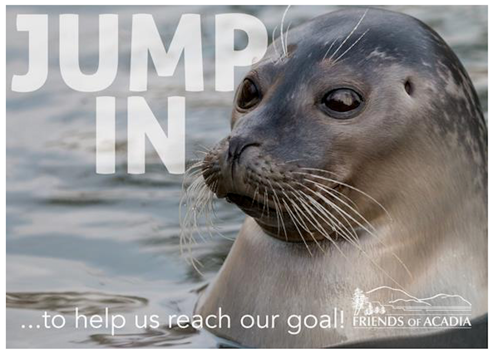 Friends of Acadia Fall Challenge Grant