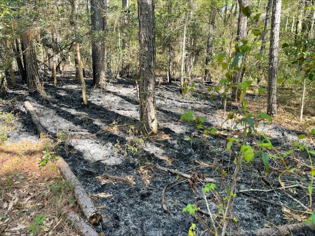 Two small fires spotted at Fort Raleigh National Historic Site are thought to have been intentionally set/NPS Two small fires spotted at Fort Raleigh National Historic Site are thought to have been intentionally set/NPS