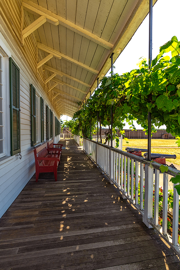 Grape vines along the Big House veranda, Fort Vancouver National Historic Site / Rebecca Latson Grape vines along the Big House veranda, Fort Vancouver National Historic Site / Rebecca Latson
