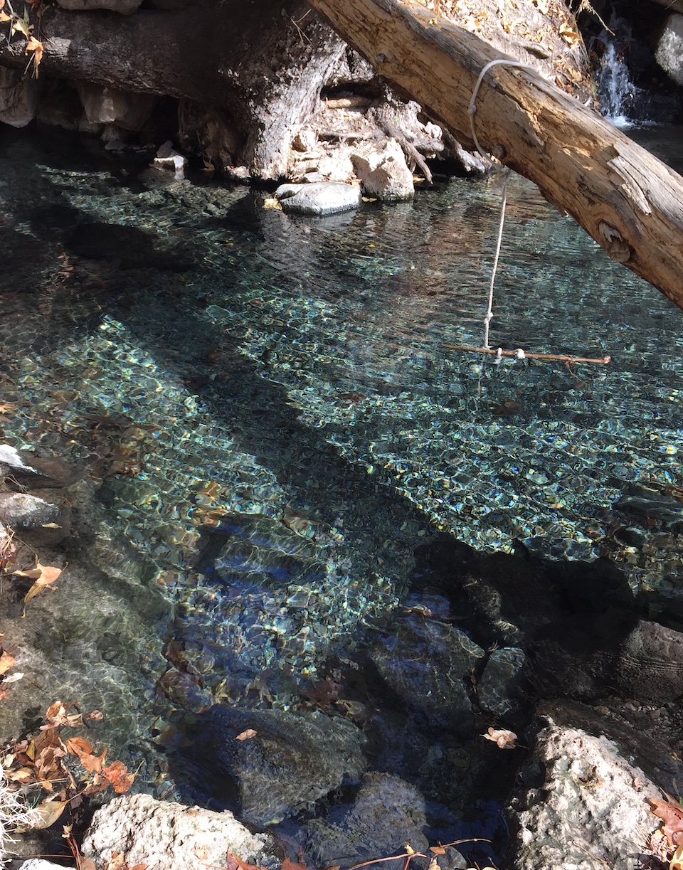 Jordon Hot Springs in Gila Cliff Dwellings National Monument/Barbara Jensen