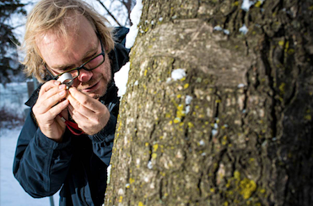 Toby Spribille and an international team of researchers have led a new study examining the lichen of Alaskan rainforests/John Ulan