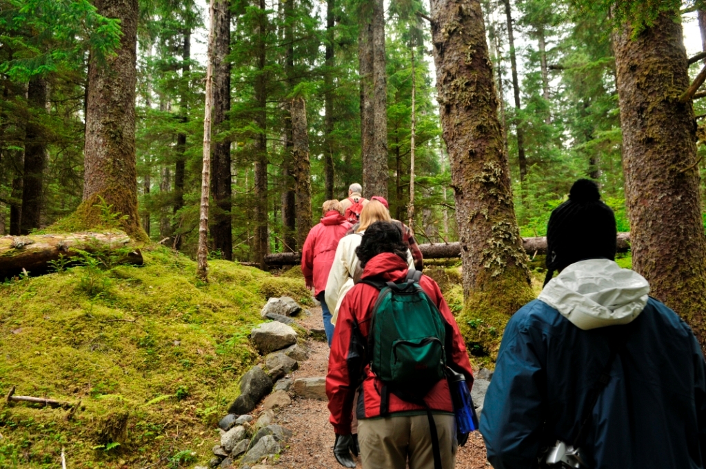 Hiking the Forest Loop Trail, Glacier Bay National Park and Preserve / NPS