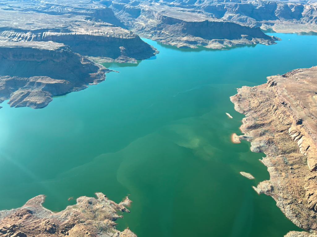 An algal bloom in Lake Powell (right side of photo)/NPS An algal bloom in Lake Powell (right side of photo)/NPS
