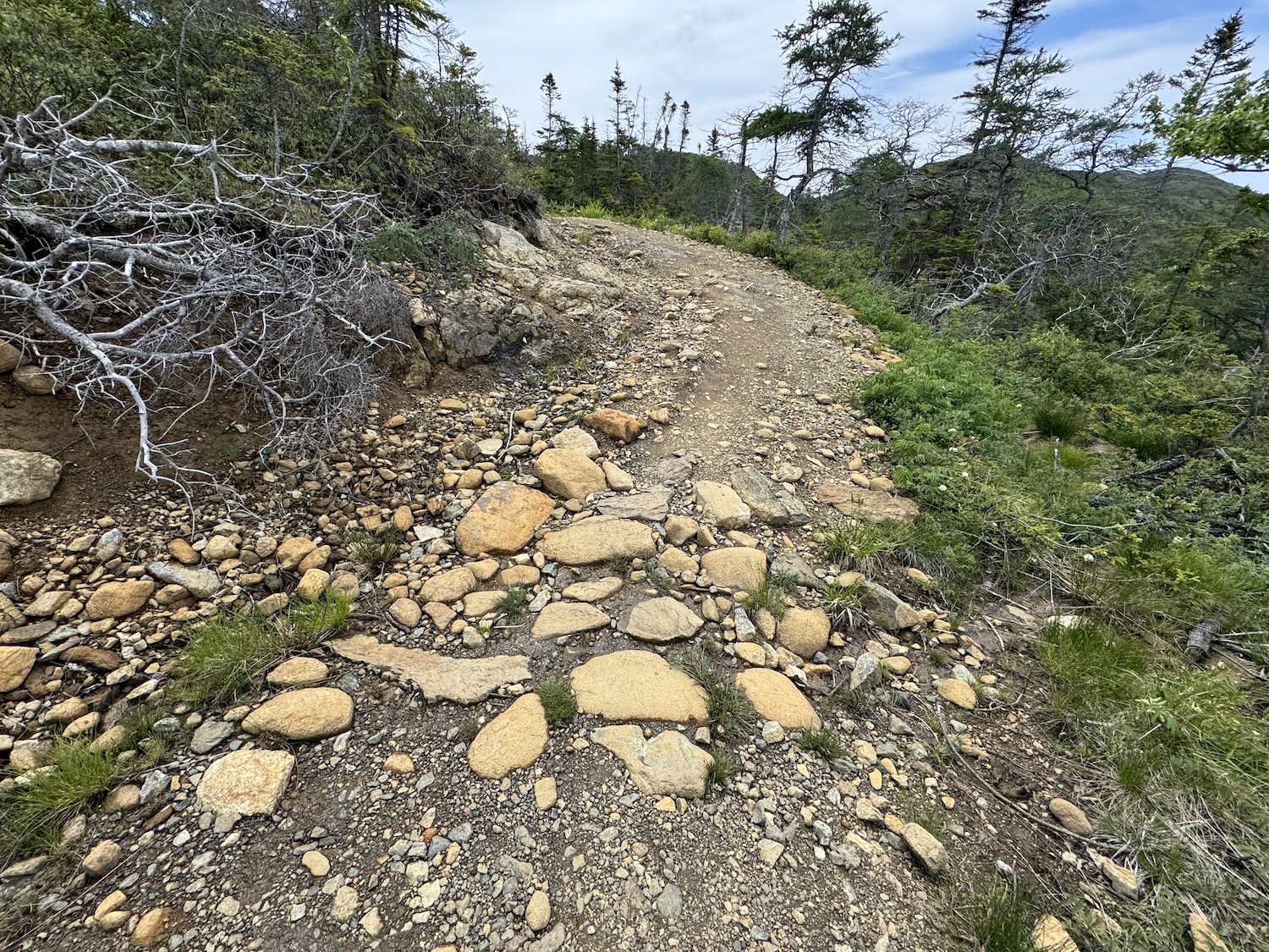 The return trip on Green Gardens Trail is mostly uphill, but it's a gentle and meandering uphill. The return trip on Green Gardens Trail is mostly uphill, but it's a gentle and meandering uphill.