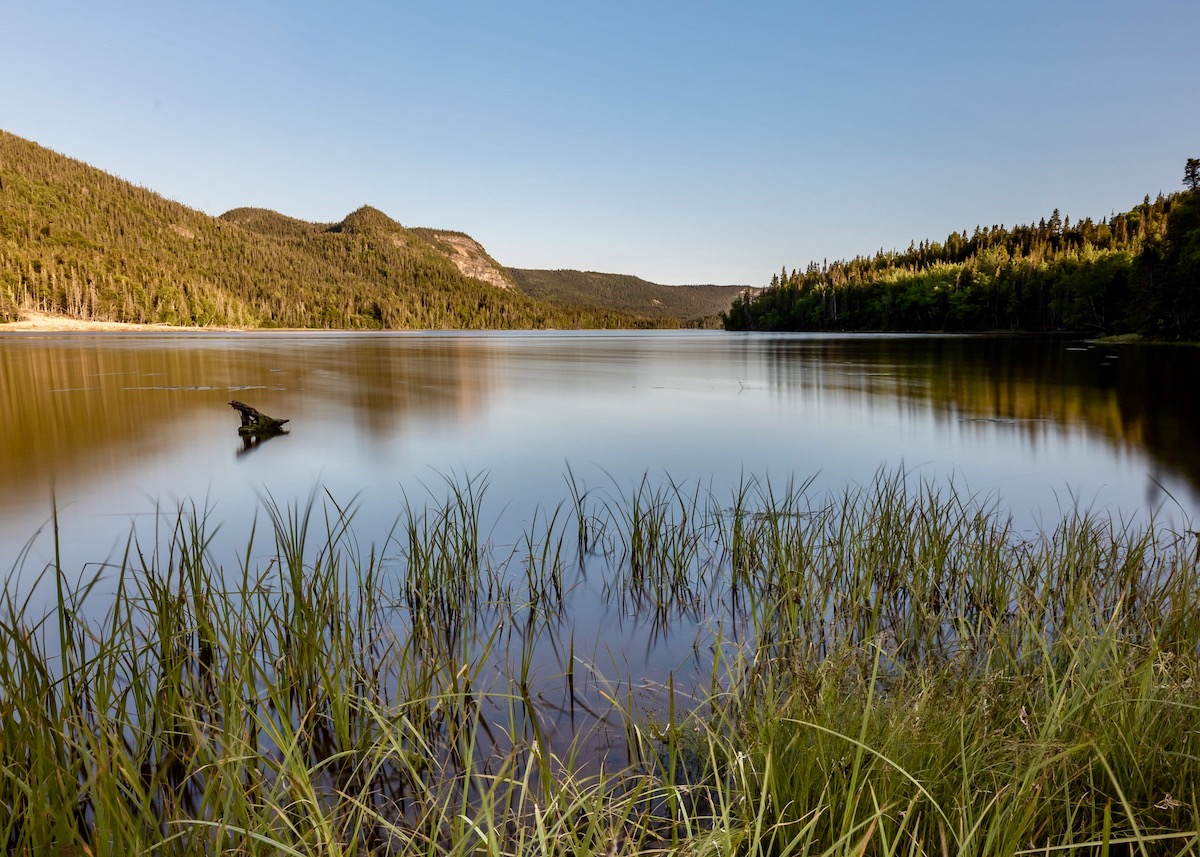 Gros Morne National Park has a salmon fishing season. Gros Morne National Park has a salmon fishing season.