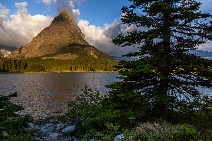 Morning View Along Swiftcurrent Lake Loop Trail