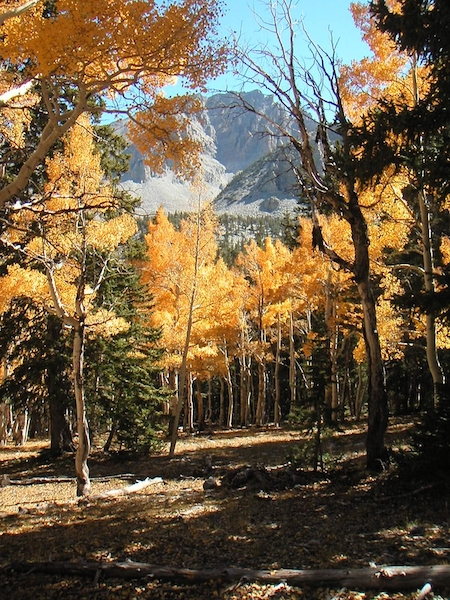 Great Basin National Park has increased camping fees, and moving reservations to recreation.gov/NPS file Great Basin National Park has increased camping fees, and moving reservations to recreation.gov/NPS file