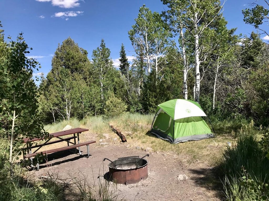 A site at Lower Lehman Creek Campground, Great Basin National Park / NPS file