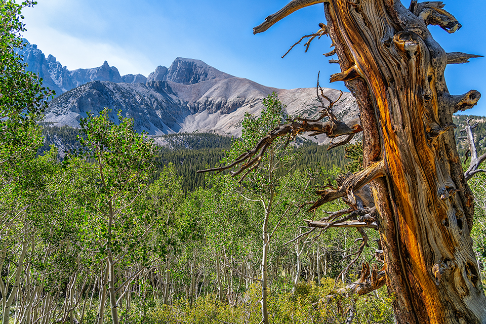 The view along the Wheeler Peak Summit / Stella Lake Trail, Great Basin National Park / Rebecca Latson The view along the Wheeler Peak Summit / Stella Lake Trail, Great Basin National Park / Rebecca Latson