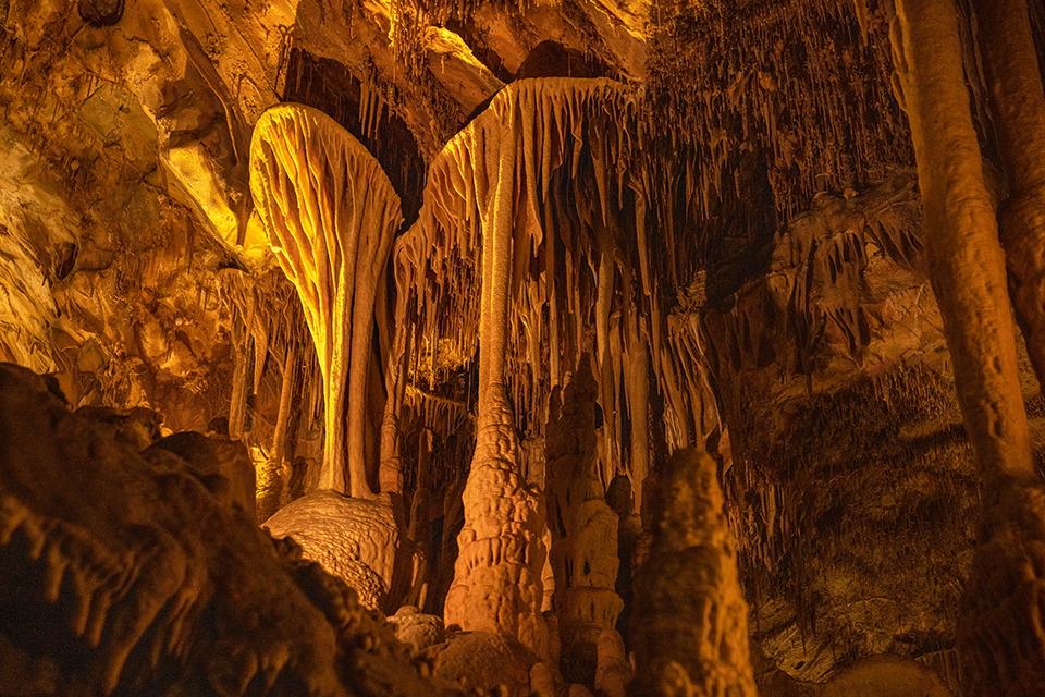 Cave shield formations in Lehman Caves, Great Basin National Park / Rebecca Latson Cave shield formations in Lehman Caves, Great Basin National Park / Rebecca Latson
