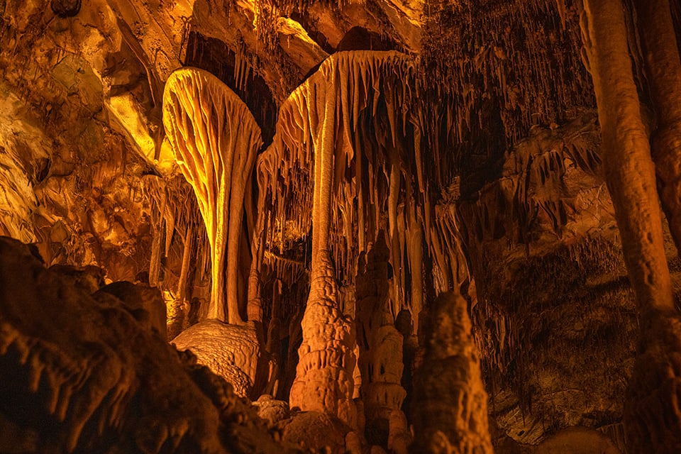 Cave shield "parachutes" speleothems, Lehman Caves, Great Basin National Park / Rebecca Latson Cave shield "parachutes" speleothems, Lehman Caves, Great Basin National Park / Rebecca Latson