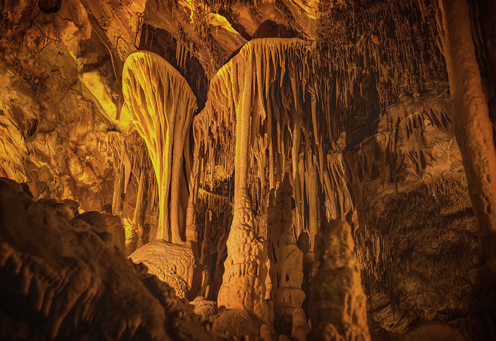 Cave shields (aka cave parachutes) and other speleothems in Lehman Caves, Great Basin National Park / Rebecca Latson