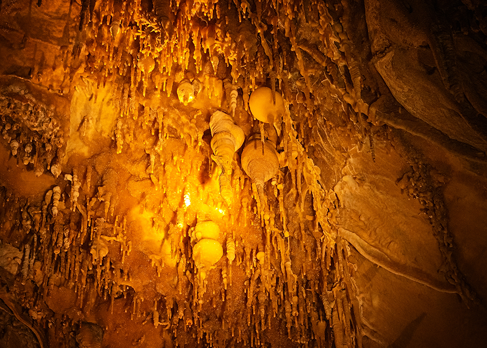 Some odd-looking speleothems hanging from the ceiling of Lehman Caves, Great Basin National Park / Rebecca Latson