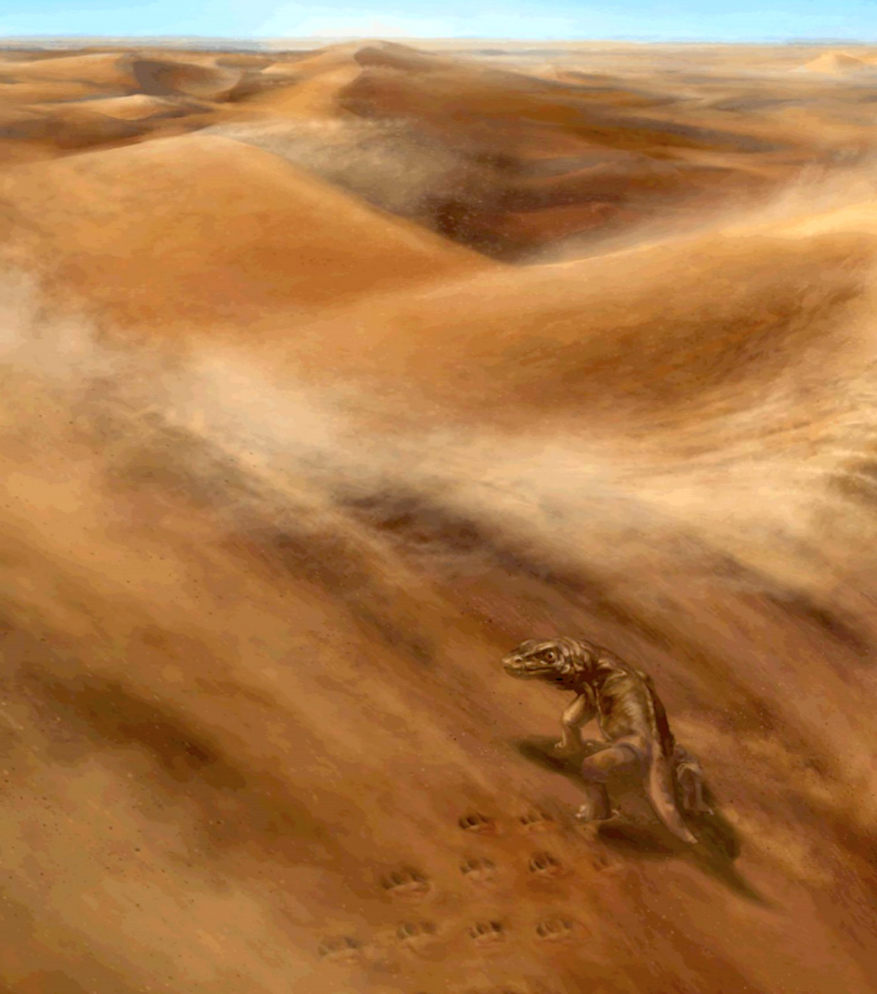 . Artist’s rendering of a basal amniote moving diagonally up a sand dune/Art by Emily Waldman