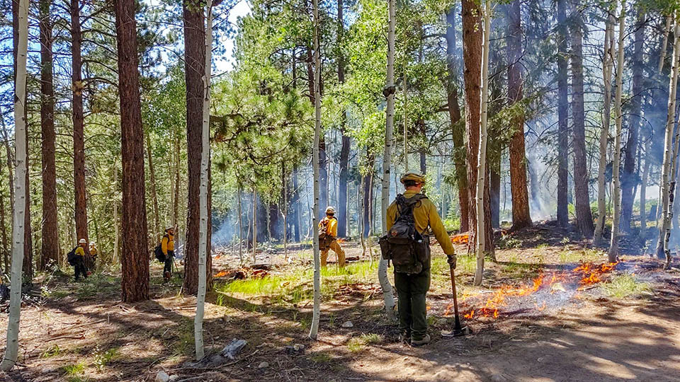 Fire crew monitoring the Ikes Fire/ NPS, Jason Nez