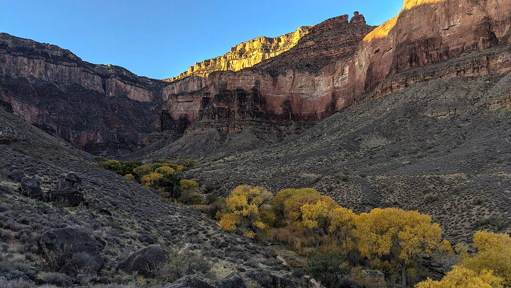 Havsupai Gardens during fall colors/NPS, K. Pitts