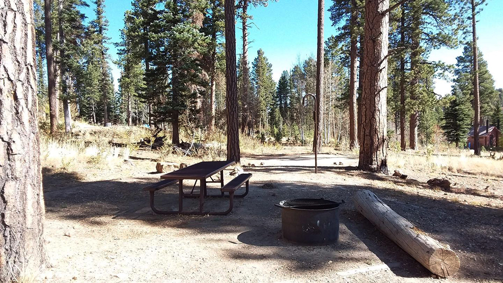 DeMotte Campground site / Conservation Legacy via recreation.gov DeMotte Campground site / Conservation Legacy via recreation.gov
