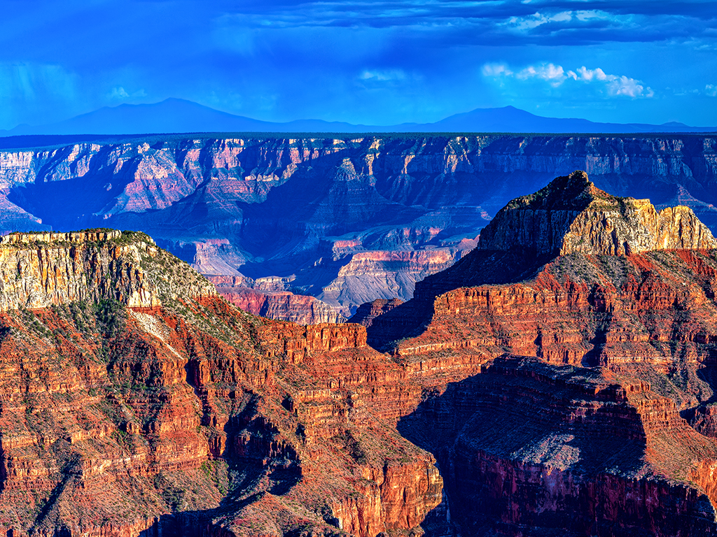 A summer afternoon at the North Rim, Grand Canyon National Park / Rebecca Latson