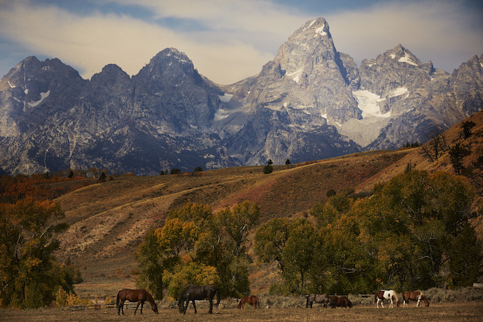The Gros Ventre Mountains and Grand Teton National Park tower over the Gros Ventre River Ranch / Dude Ranchers’ Association
