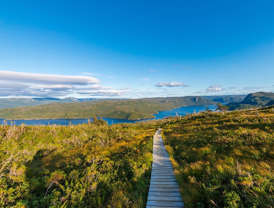 A boardwalk into the landscape, Gros Morne National Park / Pixabay-Felix Dilly A boardwalk into the landscape, Gros Morne National Park / Pixabay-Felix Dilly