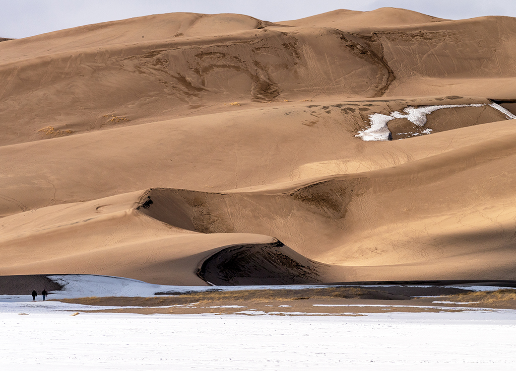 Winter sunlight and shadow over the dunes, Great Sand Dunes National Park and Preserve / Rebecca Latson