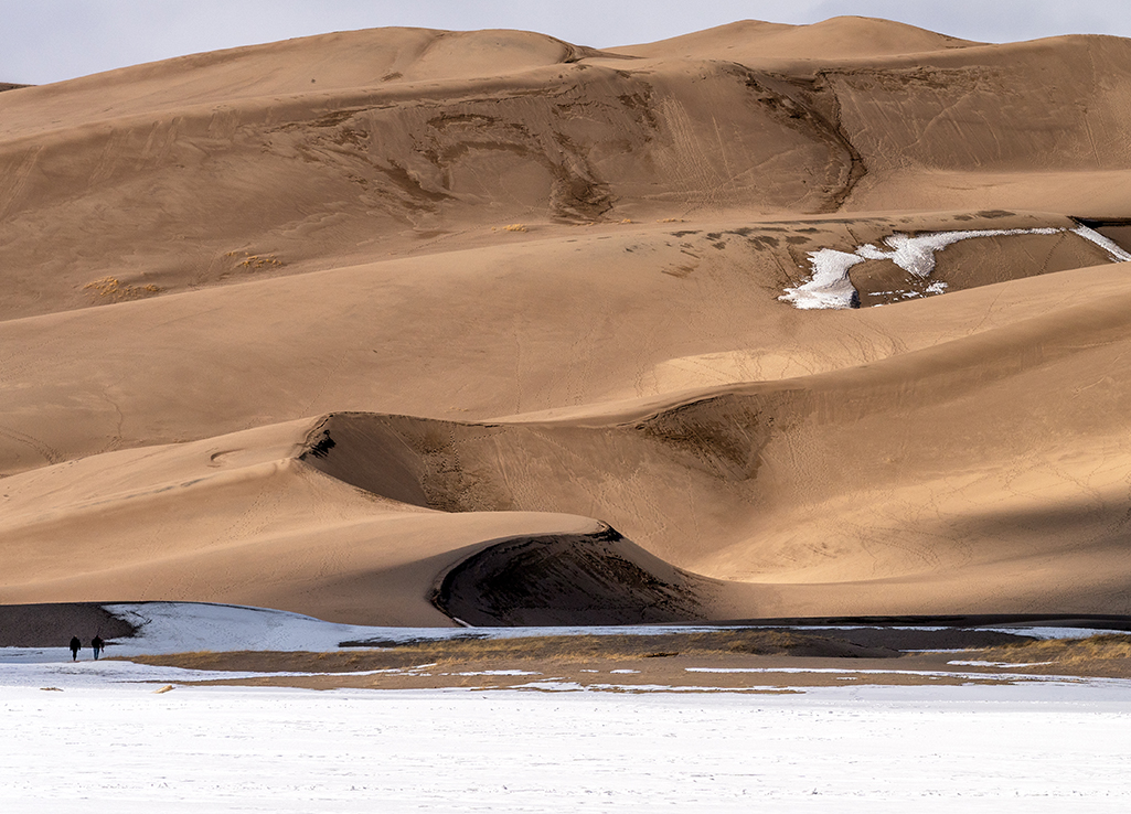 Winter sunlight and shadows over the dunes, Great Sand Dunes National Park and Preserve / Rebecca Latson