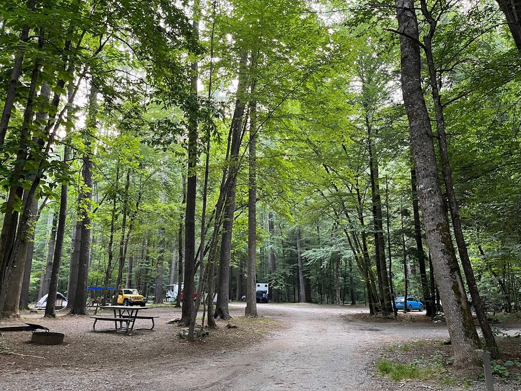 The Cataloochee Campground is one of six campgrounds at Great Smoky Mountains National Park that are not open due to a variety of reasons/NPS file The Cataloochee Campground is one of six campgrounds at Great Smoky Mountains National Park that are not open due to a variety of reasons/NPS file