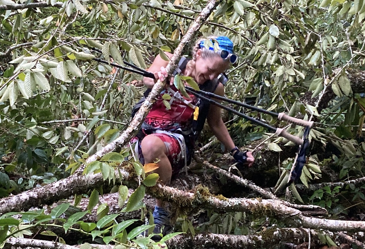 Navigating a blowdown on the Deep Creek Trail/Courtesy of Nancy East