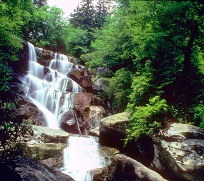 The trail to Ramsey Cascades in Great Smoky Mountains National Park is closed while repairs to a washed out section are conducted/NPS file
