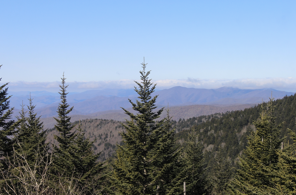 Good weather was on tap Friday at Great Smoky Mountains National Park, as this image from the Clingmans Dome webcam showed/NPS Good weather was on tap Friday at Great Smoky Mountains National Park, as this image from the Clingmans Dome webcam showed/NPS