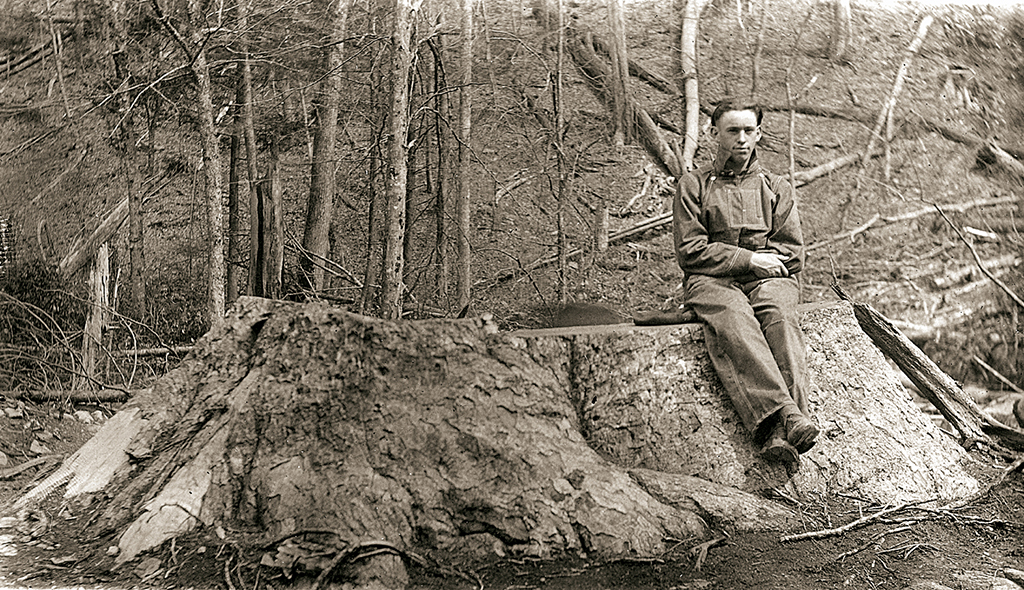 1926 image of a stump of a large tulip poplar tree cut by Little River Lumber Company, Great Smoky Mountains National Park / NPS - Jim Shelton 1926 image of a stump of a large tulip poplar tree cut by Little River Lumber Company, Great Smoky Mountains National Park / NPS - Jim Shelton