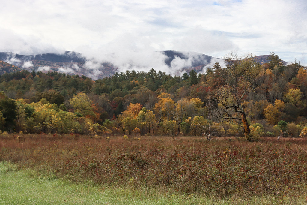Cades Cove in autumn, Great Smoky Mountains National Park / NPS - Warren Bielenberg via Flickr