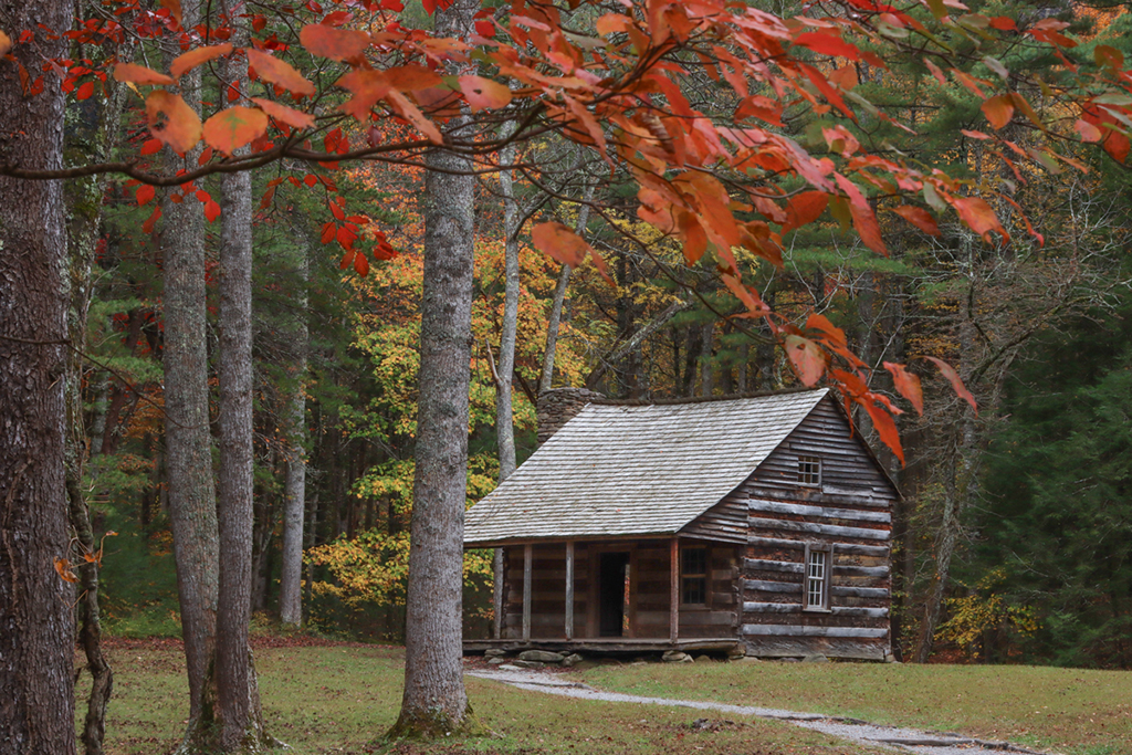 Carter Shields cabin, Great Smoky Mountains National Park / NPS - Warren Bielenberg Carter Shields cabin, Great Smoky Mountains National Park / NPS - Warren Bielenberg