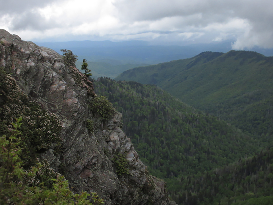 A view of the landscape from the Bunion, Great Smoky Mountains National Park / National Park Service