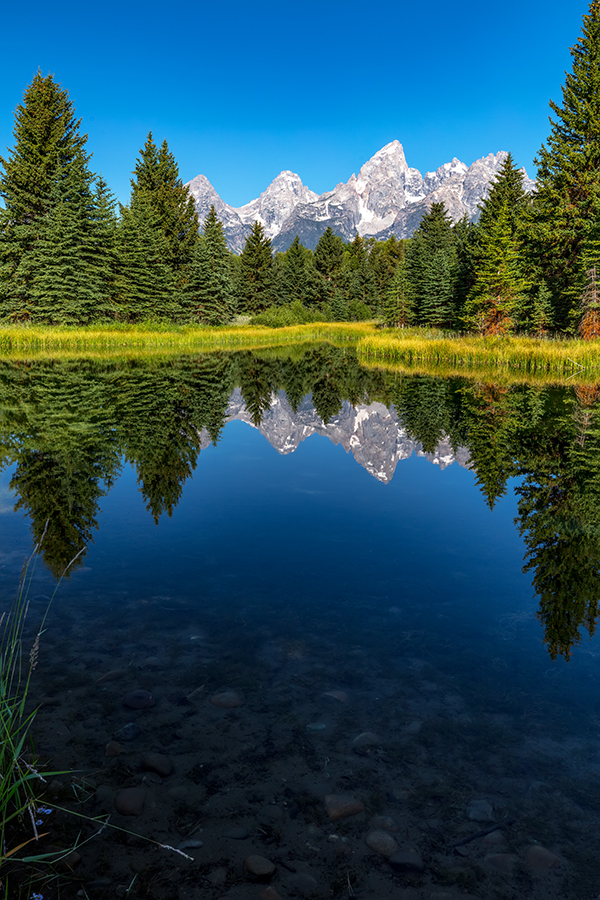 A quiet morning at Schwabacher Landing, Grand Teton National Park / Rebecca Latson