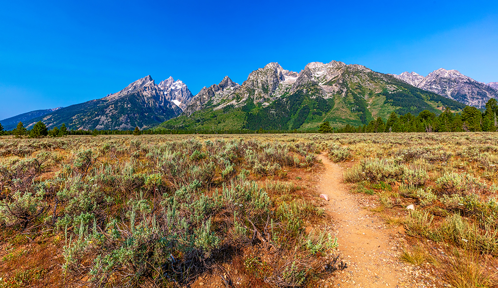 Where will the trail take you? Grand Teton National Park / Rebecca Latson