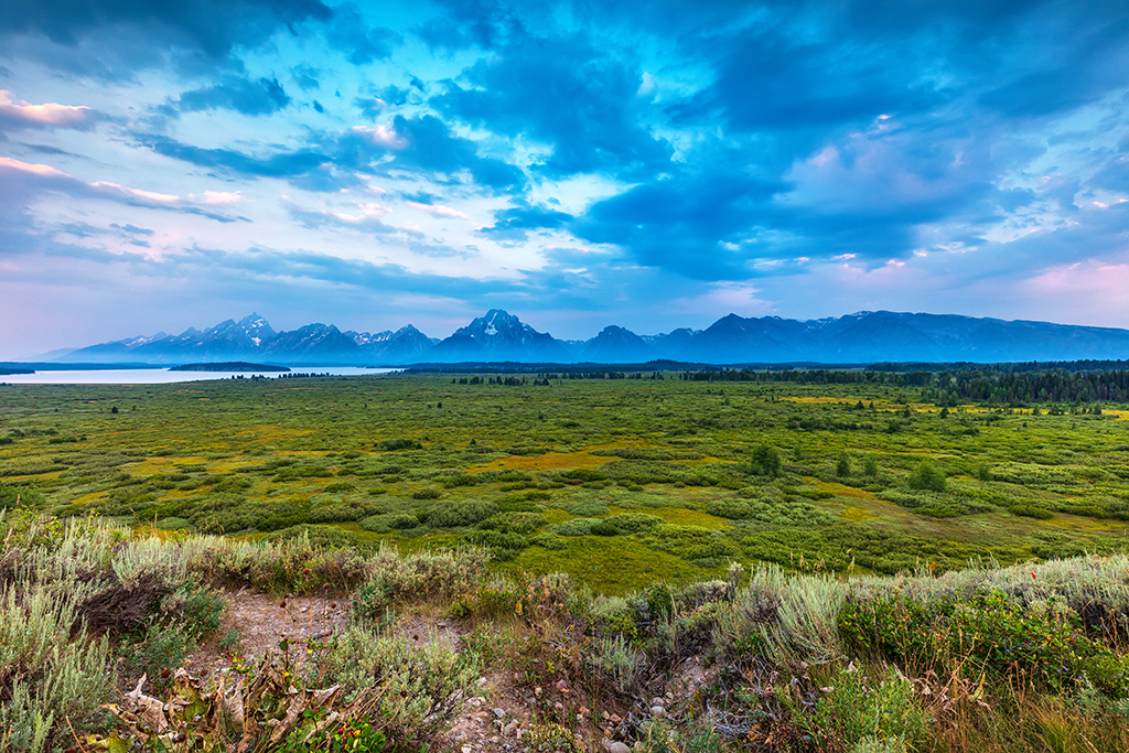 A muted sunrise over Willow Flats, Grand Teton National Park / Rebecca Latson