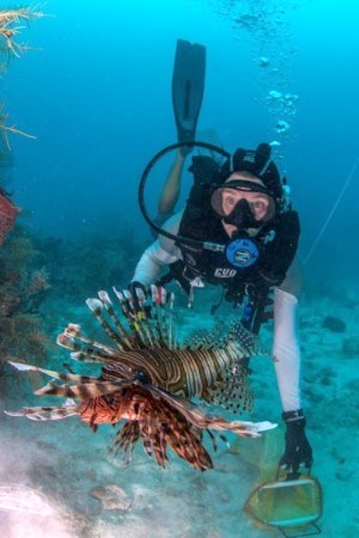 Lionfish compete for food with native predatory fish such as grouper and snapper/NPS, Yasmeen Smalley