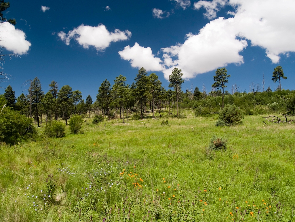 Guadalupe Mountains National Park saw record-setting visitation in 2021/NPS file
