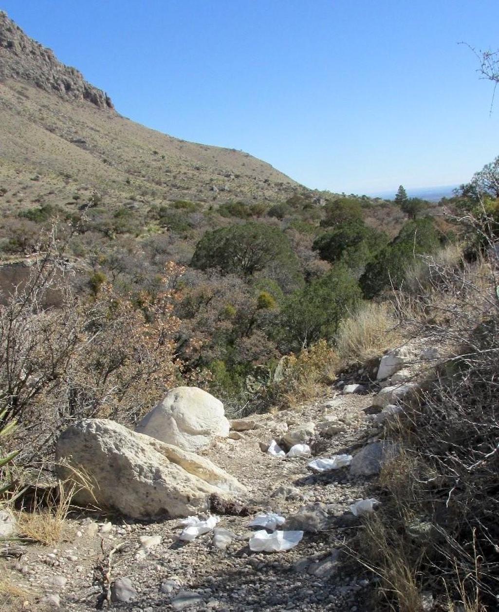 Toiletries left in the wilderness harms the fragile ecosystem and negatively impacts visitor experience/NPS