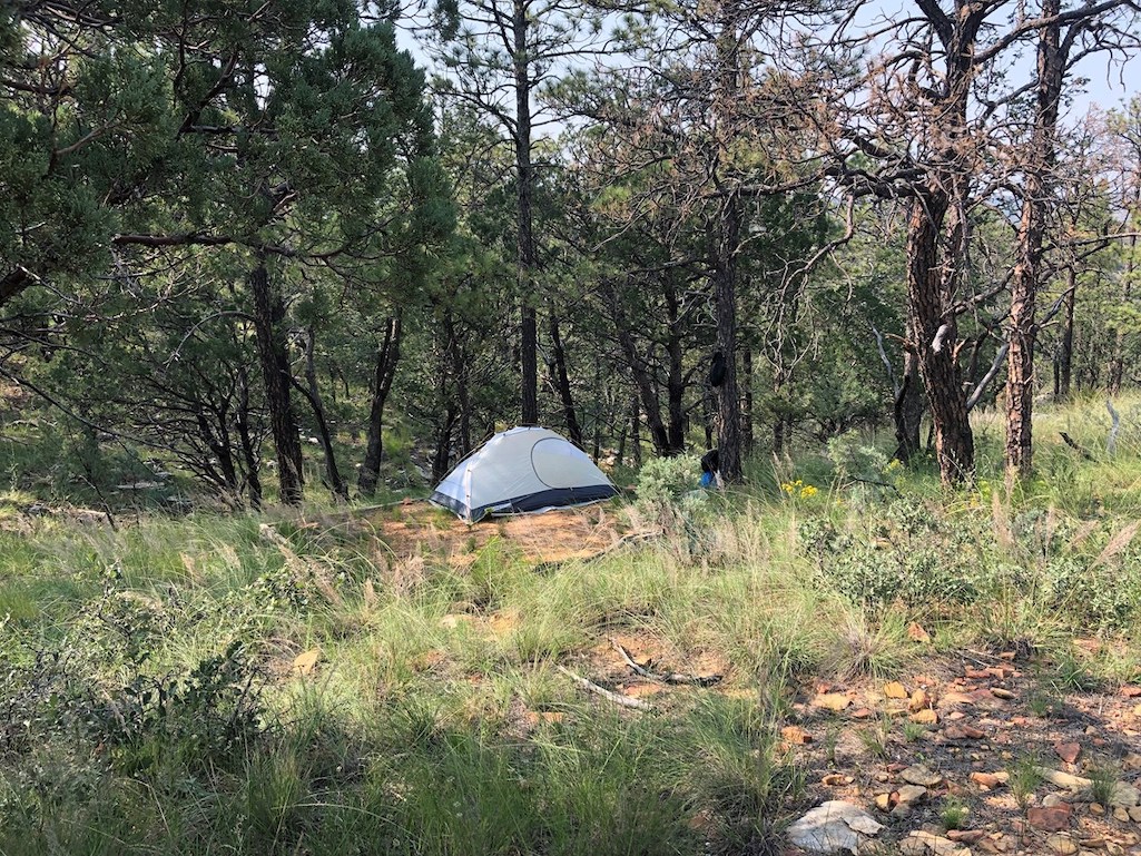 A tent site at the Wilderness Ridge Wilderness Campground/NPS