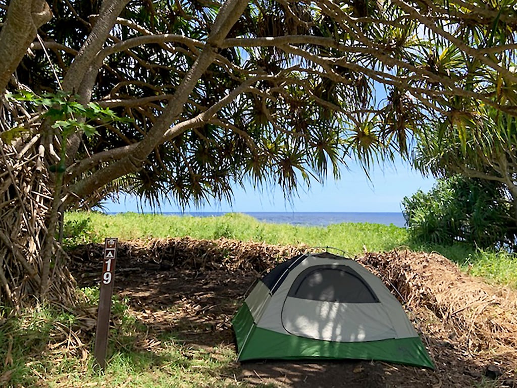 A site at Kīpahulu Campground, Haleakalā National Park / NPS file A site at Kīpahulu Campground, Haleakalā National Park / NPS file