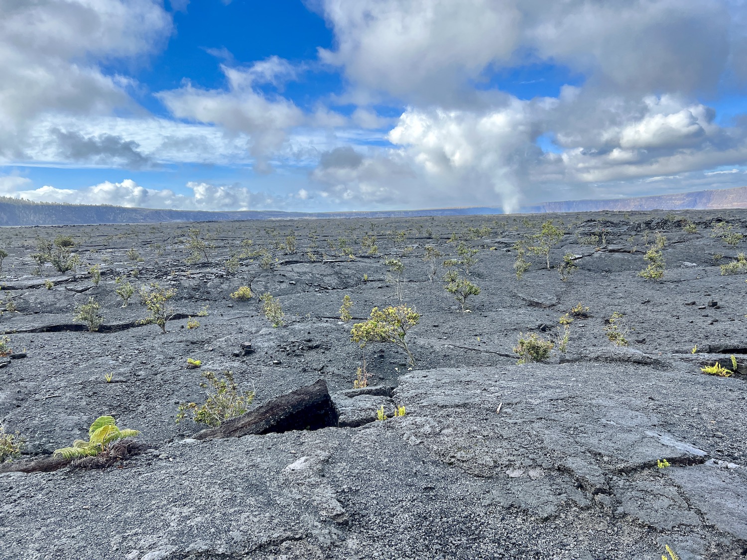 A path from Volcano House down Halema'uma'u Trail takes you out briefly along the caldera floor. A path from Volcano House down Halema'uma'u Trail takes you out briefly along the caldera floor.